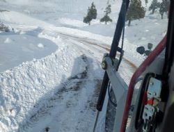 Mut Sertavul geidi trafige kapand